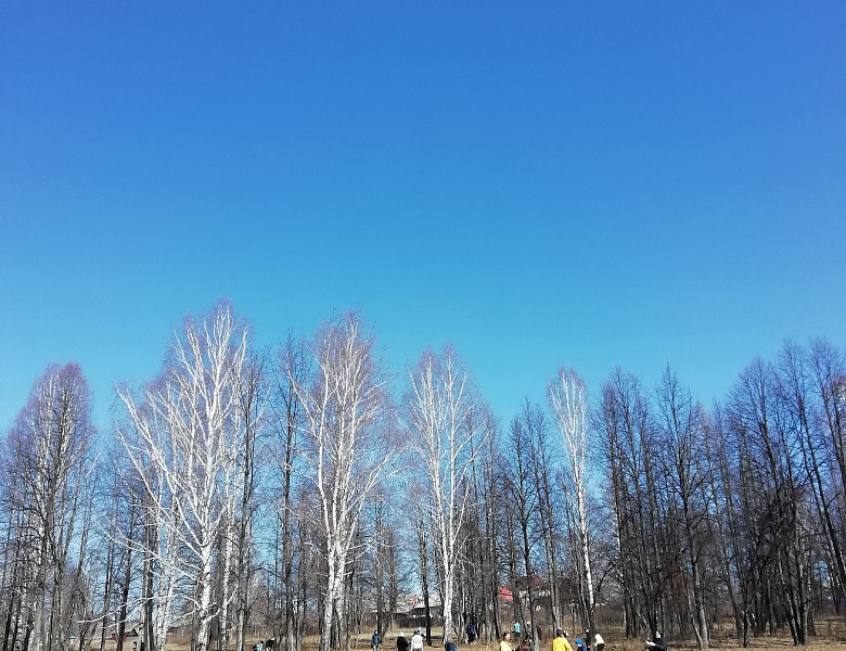 Волотеры БЭМТ приняли участие в городском субботнике